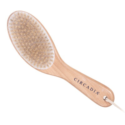 body brush_400x400.jpg